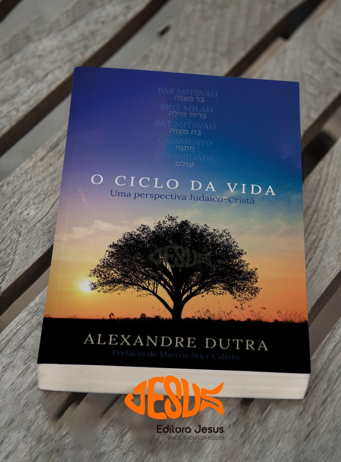 O Ciclo da Vida: Uma perspectiva Judaico-Cristã - Imagem 2